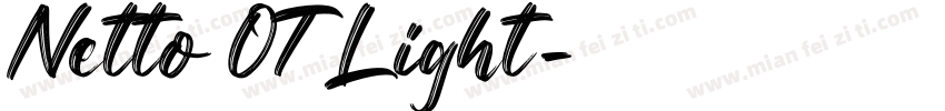 Netto OT Light字体转换